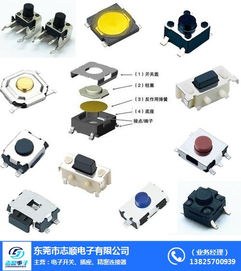 東莞市志順電子 專業(yè)供應(yīng)硅膠輕觸開(kāi)關(guān)，連接珠海等地的可靠批發(fā)合作伙伴