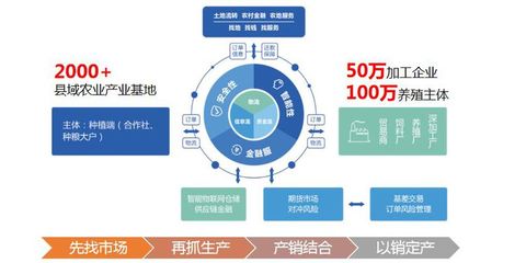 布瑞克農業互聯網與北大荒集團北安分公司達成戰略合作，攜手推進物聯網服務新篇章