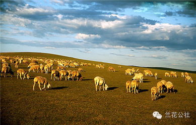 呼倫貝爾，不僅有最美的夏天，還有童話般的金秋——農(nóng)林牧漁的豐盈畫卷